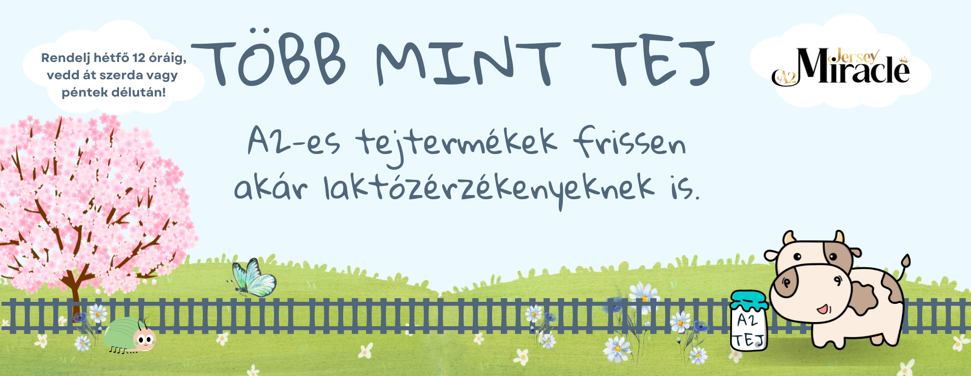 Több mint Tej - Élvezd újra a Tejet!